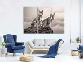 3-piece-canvas-print-two-lynx-on-rock