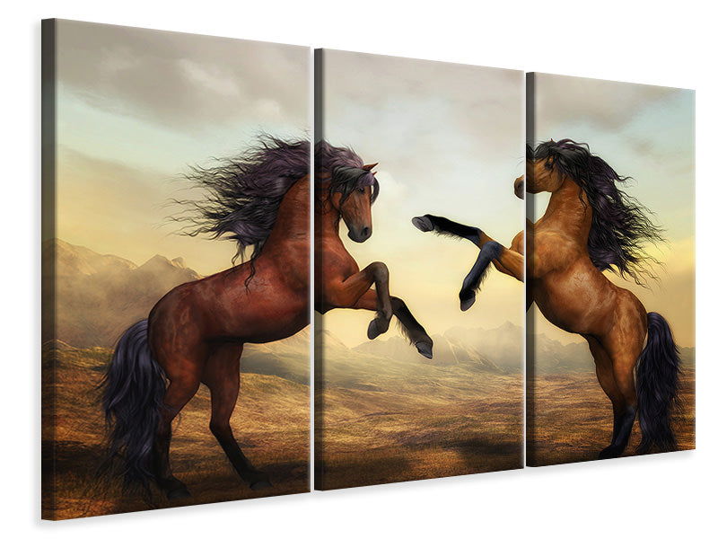 3-piece-canvas-print-two-wild-horses