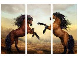 3-piece-canvas-print-two-wild-horses