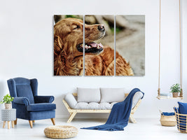 3-piece-canvas-print-watchful-irish-setter