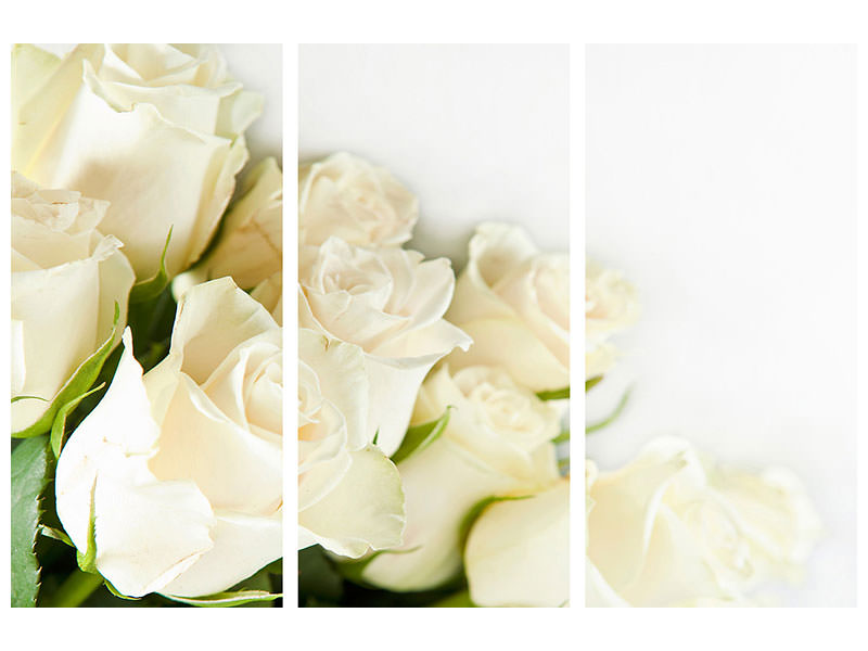 3-piece-canvas-print-white-roses