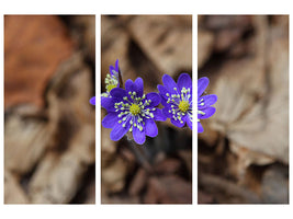 3-piece-canvas-print-wildflowers