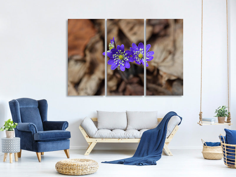 3-piece-canvas-print-wildflowers