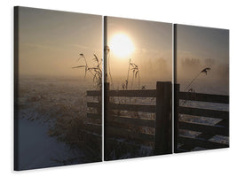 3-piece-canvas-print-winter-mood