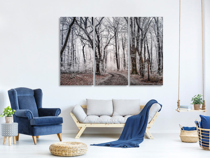 3-piece-canvas-print-wintry-forest