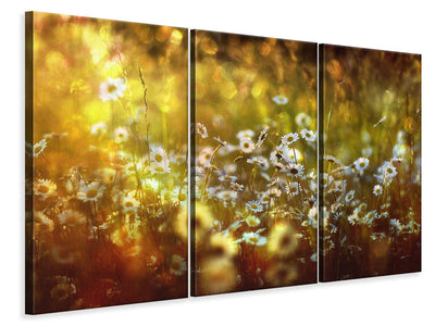 3-piece-canvas-print-wonderland