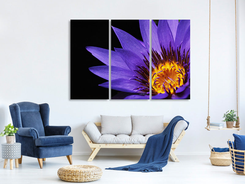 3-piece-canvas-print-xl-water-lily-in-purple