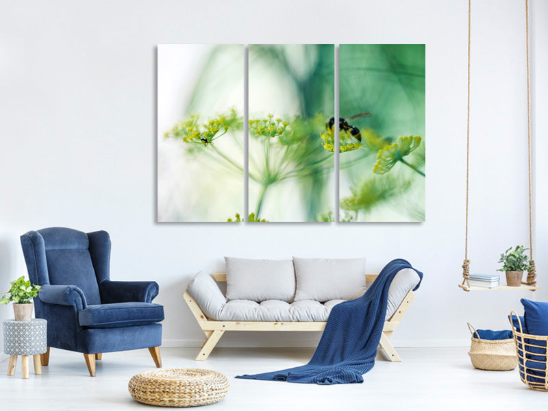 3-piece-canvas-print-xxl-parsnip