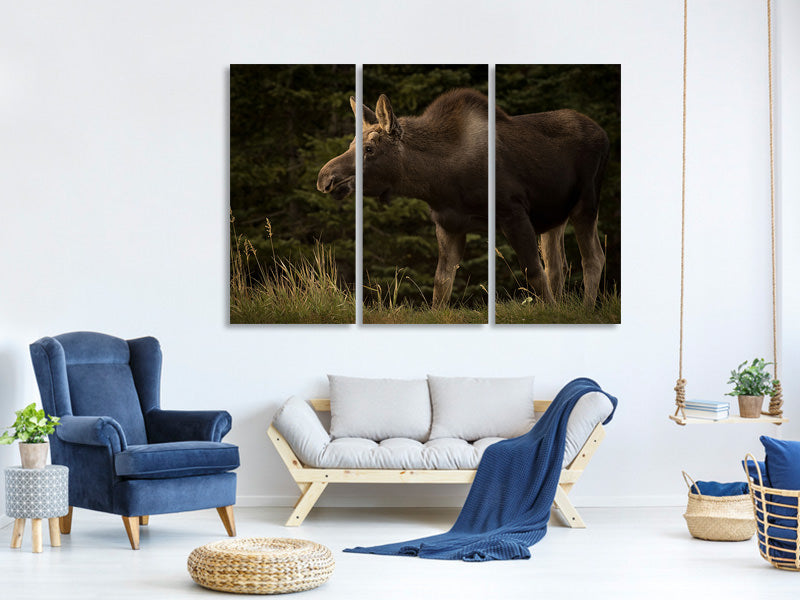 3-piece-canvas-print-young-moose-on-the-loose