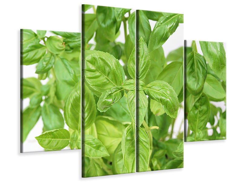 4-piece-canvas-print-basil-in-xxl