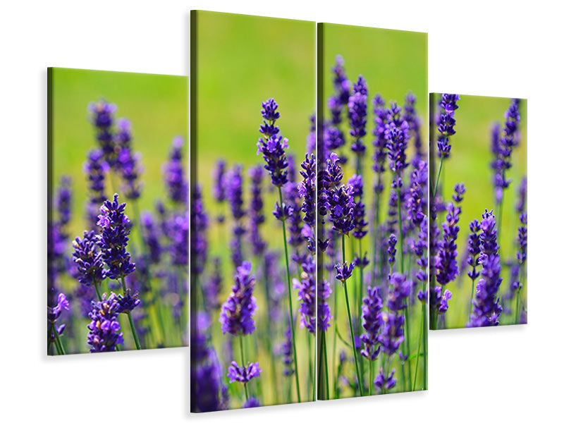 4-piece-canvas-print-beautiful-lavender