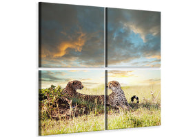 4-piece-canvas-print-cheetahs