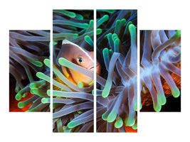 4-piece-canvas-print-clownfish