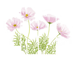 4-piece-canvas-print-cosmos-cupcake