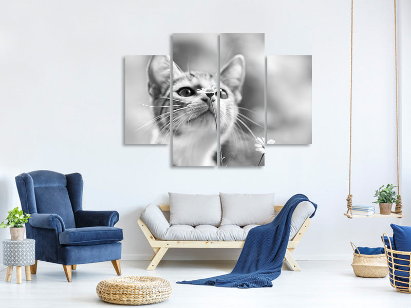 4-piece-canvas-print-curious