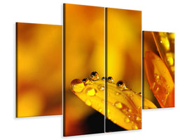 4-piece-canvas-print-drops-close-up