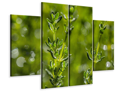 4-piece-canvas-print-fresh-thyme