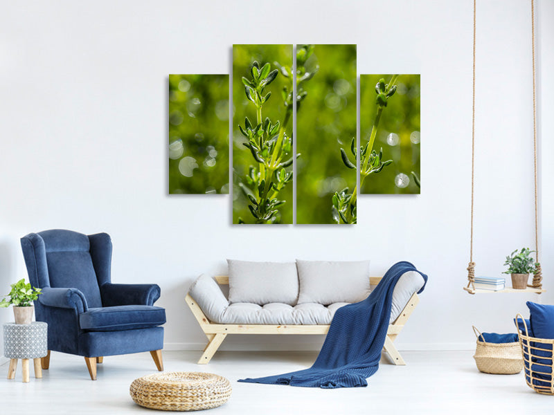 4-piece-canvas-print-fresh-thyme