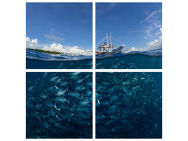 4-piece-canvas-print-go-diving