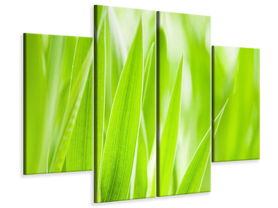 4-piece-canvas-print-grass-xxl