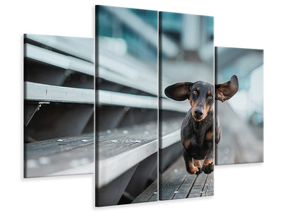 4-piece-canvas-print-little-dog