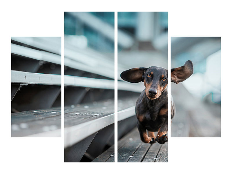 4-piece-canvas-print-little-dog