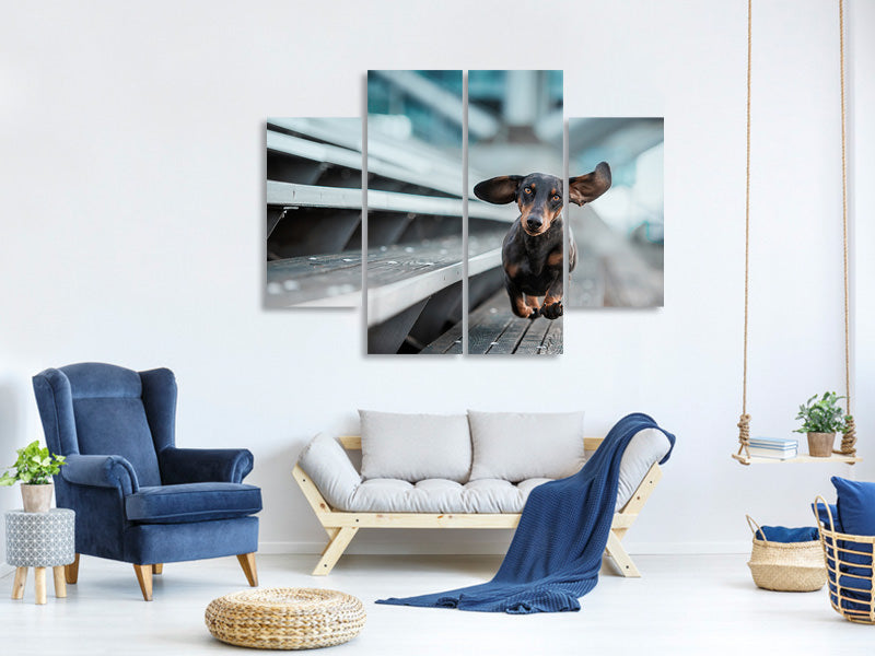 4-piece-canvas-print-little-dog