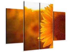 4-piece-canvas-print-macro-sunflower