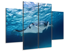 4-piece-canvas-print-manta-ray