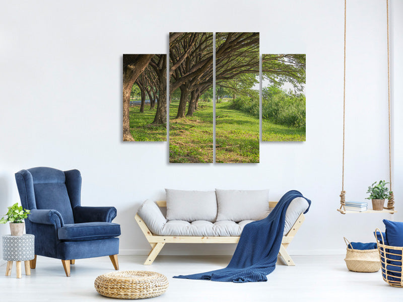 4-piece-canvas-print-mature-trees