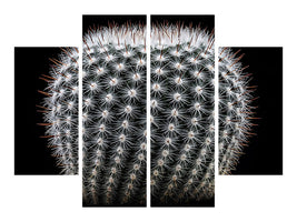 4-piece-canvas-print-notocactus-scopa-ii