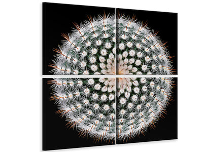 4-piece-canvas-print-notocactus-scopa