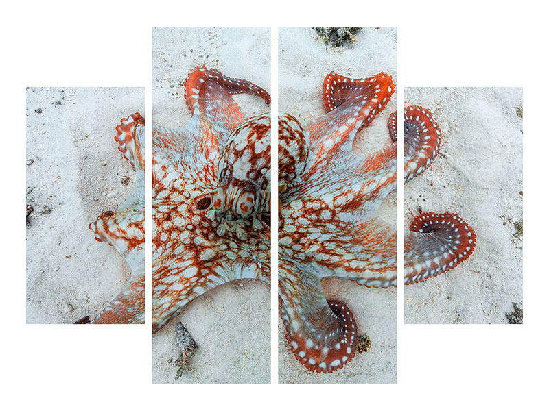 4-piece-canvas-print-octopus-a