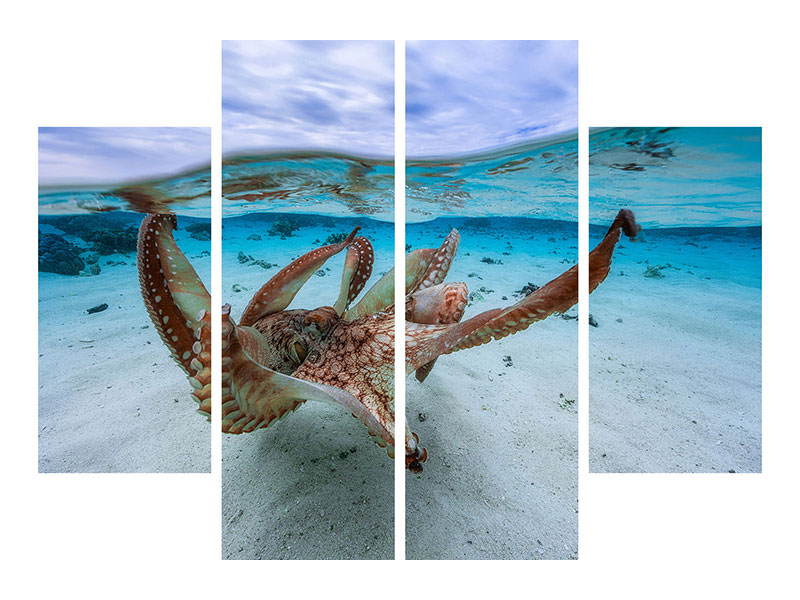 4-piece-canvas-print-octopus-ii