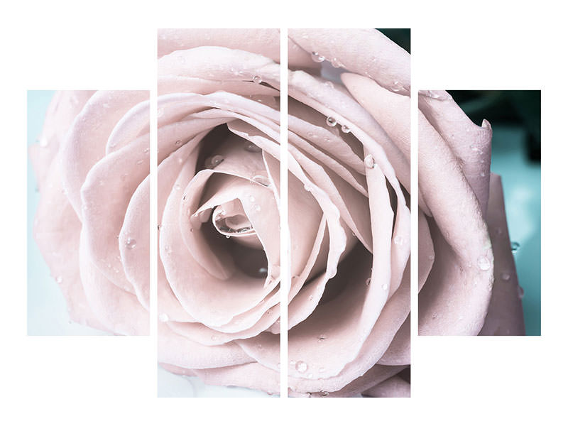 4-piece-canvas-print-pastel-rose