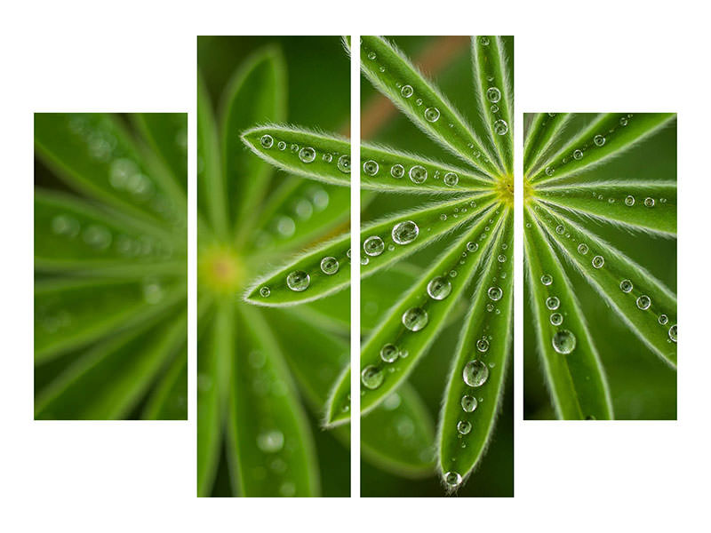 4-piece-canvas-print-pearly-lupine