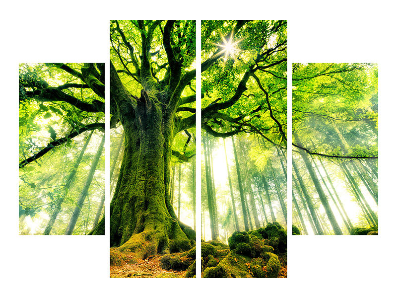 4-piece-canvas-print-ponthus-beech