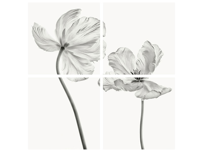 4-piece-canvas-print-same-tulip-front-and-backview