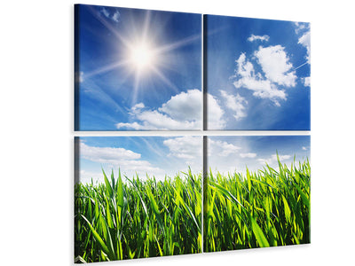 4-piece-canvas-print-spring-grass