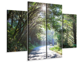 4-piece-canvas-print-sunny-forest-path