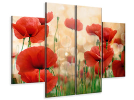 4-piece-canvas-print-the-poppy