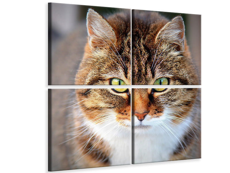 4-piece-canvas-print-tiger-cat