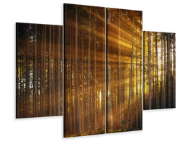 4-piece-canvas-print-trees-in-sunbeams