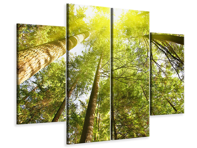 4-piece-canvas-print-treetops-in-the-sun