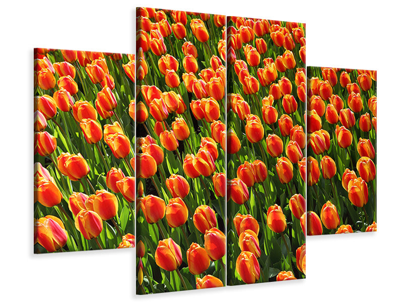 4-piece-canvas-print-tulip-field-in-orange