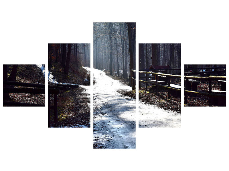 5-piece-canvas-print-a-path-in-the-snow