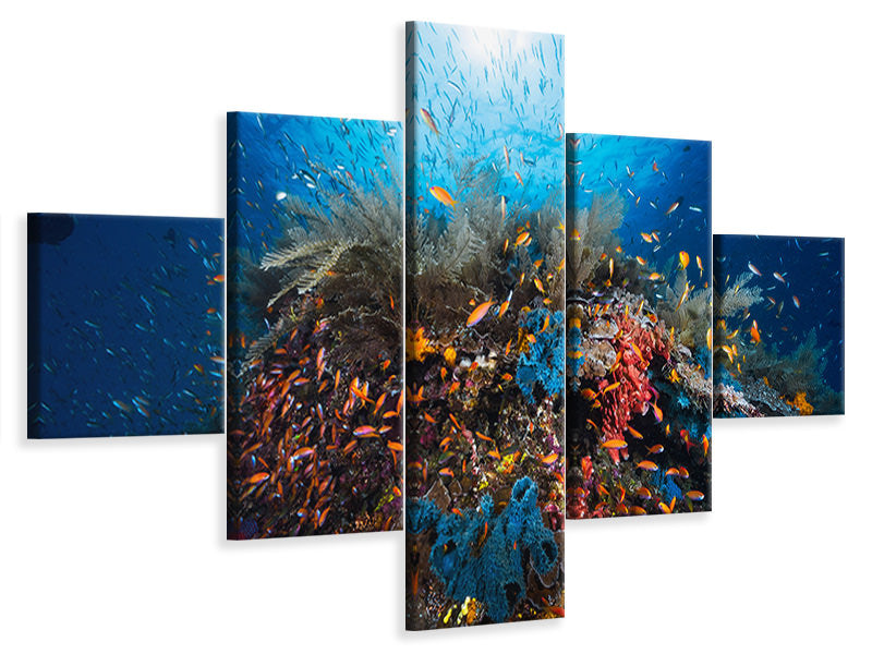 5-piece-canvas-print-apnea