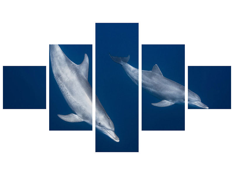 5-piece-canvas-print-bottlenose-dolphins