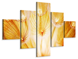 5-piece-canvas-print-close-up-dandelion-in-light