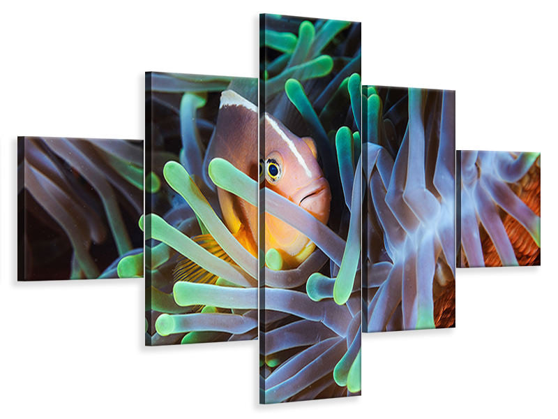 5-piece-canvas-print-clownfish